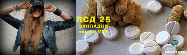 ГАЛЛЮЦИНОГЕННЫЕ ГРИБЫ Армянск